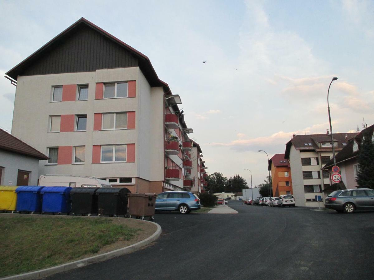 Apartmán Petra Horní Planá Exterior foto
